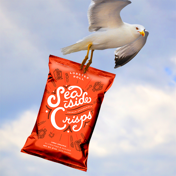 Potato chip packaging carried away by seagull